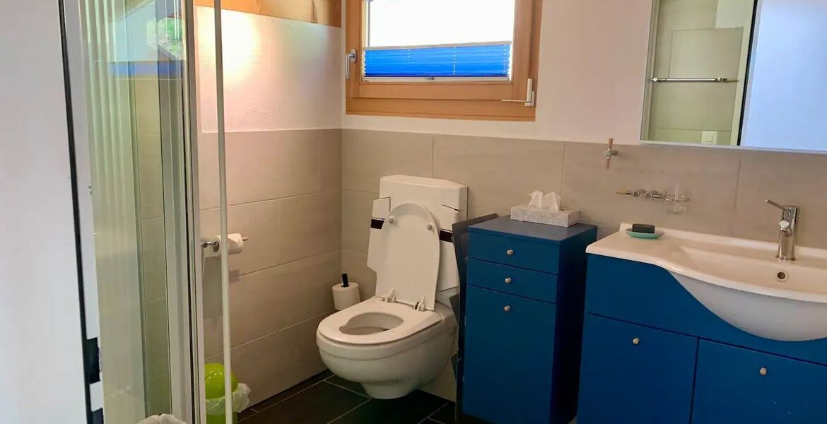 Chalet à louer à Surses