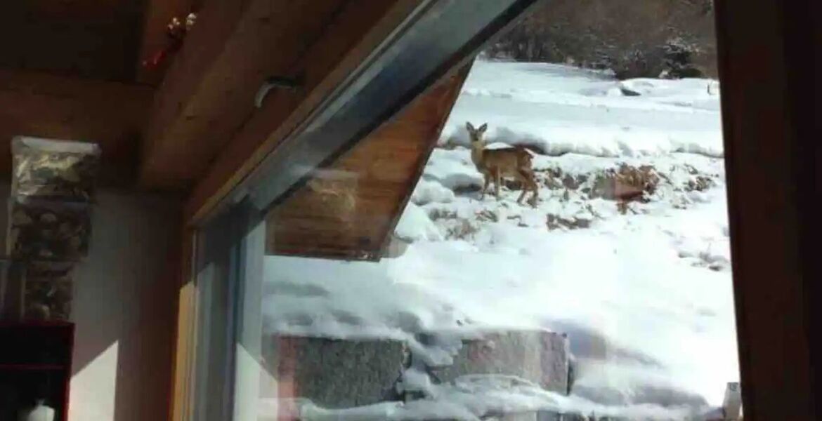 Chalet à louer à Surses