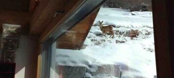 Chalet à louer à Surses