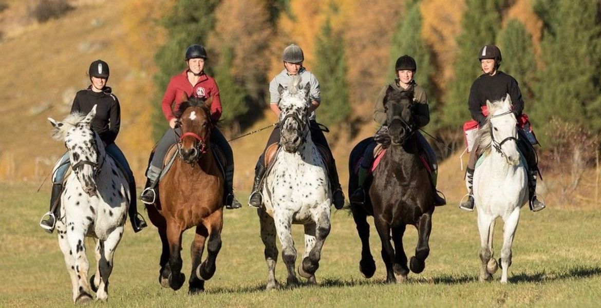 Équitation Pontresin