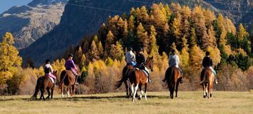 Équitation Pontresin